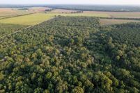 Land for sale in Little River County, Arkansas