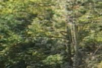 Land for sale in Richmond County, New York