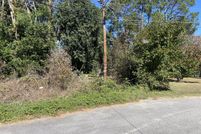 Undeveloped Land for sale in Lee County, South Carolina