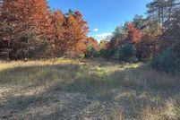 Land for sale in Clare County, Michigan