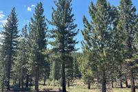 Land for sale in Alpine County, California