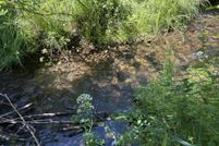 Land for sale in Benewah County, Idaho