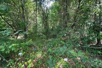 Land for sale in Harnett County, North Carolina