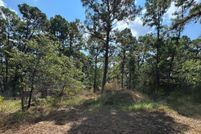 Undeveloped Land for sale in Bastrop County, Texas