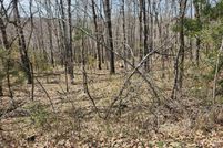 Land for sale in Sharp County, Arkansas