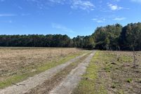 Land for sale in Clarendon County, South Carolina