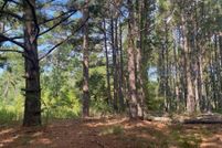 Undeveloped Land for sale in Smith County, Texas