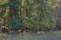 Land for sale in Campbell County, Virginia