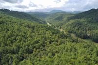 Undeveloped Land for sale in Rabun County, Georgia