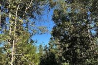 Land for sale in Anderson County, Texas