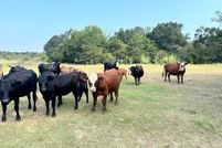 Land for sale in Freestone County, Texas