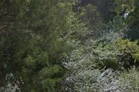 Land for sale in Ellis County, Texas