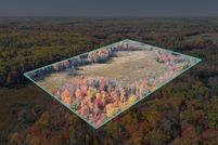 Land for sale in Newaygo County, Michigan