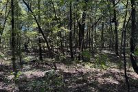 Land for sale in Red River County, Texas