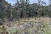 Land for sale in Levy County, Florida