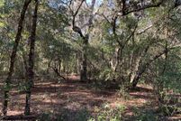 Land for sale in Putnam County, Florida