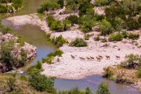 Land for sale in Crockett County, Texas