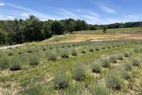 Land for sale in McMinn County, Tennessee