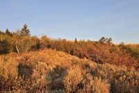 Land for sale in Power County, Idaho