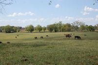 Land for sale in Bourbon County, Kentucky