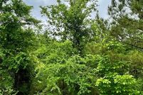 Homesite for sale in McCurtain County, Oklahoma