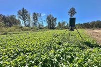 Undeveloped Land for sale in Copiah County, Mississippi