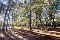 Land for sale in Darlington County, South Carolina