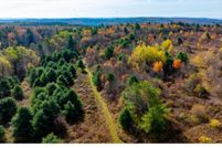 Land for sale in Otsego County, New York