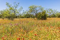 Undeveloped Land for sale in Lampasas County, Texas