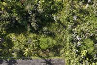 Undeveloped Land for sale in Hawaii County, Hawaii