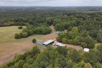 Land for sale in Wilcox County, Alabama