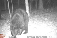 Farm and Ranch for sale in Madison County, Arkansas