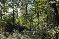 Land for sale in Spartanburg County, South Carolina