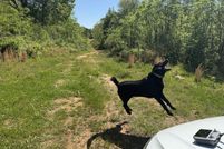 Undeveloped Land for sale in Oconee County, Georgia