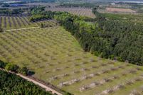 Land for sale in Candler County, Georgia