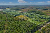 Land for sale in Wakulla County, Florida