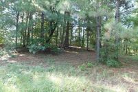 Undeveloped Land for sale in Sabine County, Texas