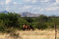 Land for sale in Cochise County, Arizona
