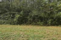 Land for sale in Panola County, Texas