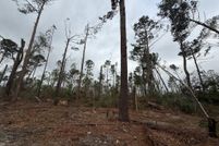 Land for sale in Jeff Davis County, Georgia