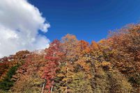 Land for sale in Charlevoix County, Michigan