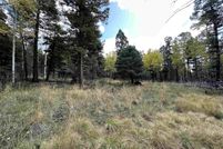 Homesite for sale in Colfax County, New Mexico