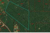 Land for sale in Newton County, Texas