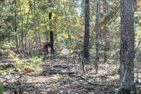 Undeveloped Land for sale in Ozark County, Missouri