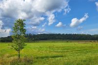 Homesite for sale in Olmsted County, Minnesota