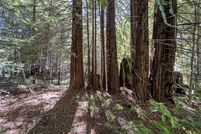 Land for sale in Sonoma County, California