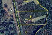 Undeveloped Land for sale in Covington County, Alabama