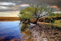 Land for sale in Logan County, Oklahoma