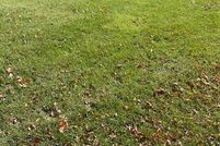 Land for sale in Lake County, Indiana