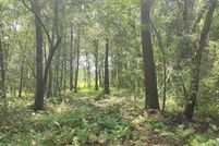 Land for sale in Jefferson County, Florida